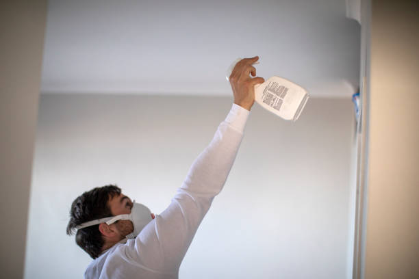 Best Mold Cleaning Services  in East Sandwich, MA