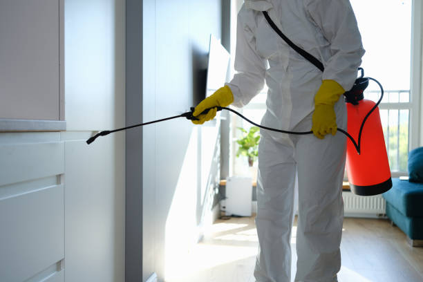 Best Mold Removal and Inspection  in East Sandwich, MA