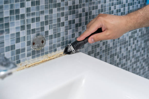 Best Mold Damage Repair  in East Sandwich, MA