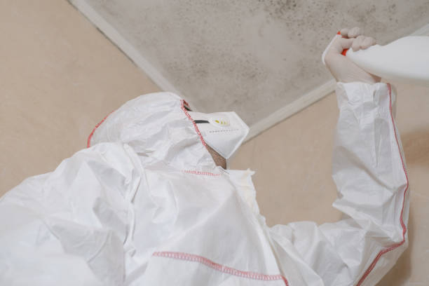 Best Mold Testing  in East Sandwich, MA